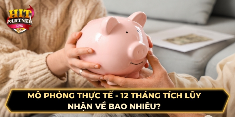 Mô phỏng thực tế - 12 tháng tích lũy nhận về bao nhiêu?