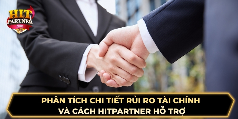 Phân tích chi tiết rủi ro tài chính và cách Hitpartner hỗ trợ