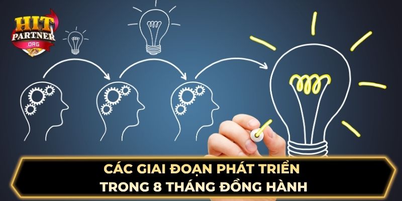 Các giai đoạn phát triển trong 8 tháng đồng hành
